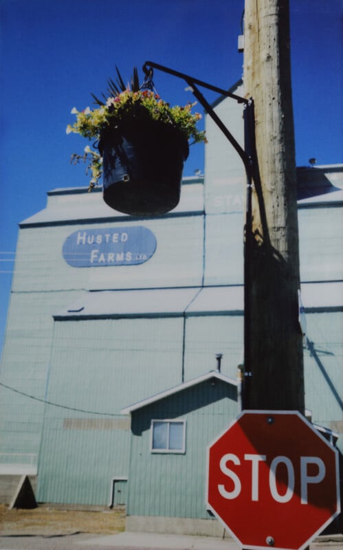 A stop sign mounted on a wooden pole with a hanging flower basket in front of an industrial building labeled "Husted Farms Ltd." The building is painted light green and appears to be part of a larger structure. The sky is clear and blue.