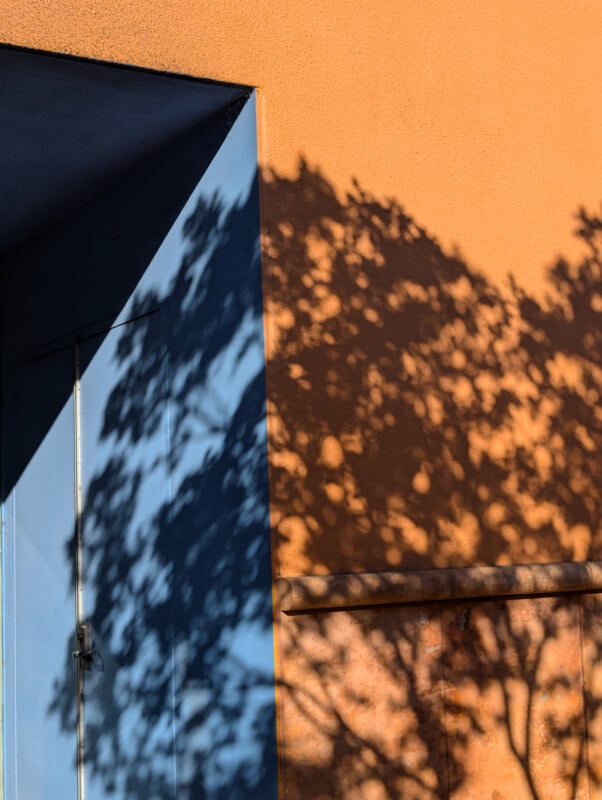 A blue door is partially obscured by a dark triangular shadow on an orange wall. To the right, intricate shadows of tree branches and leaves are cast against the brightly lit wall, creating a contrast of light and dark.