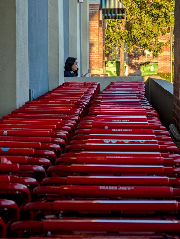 A woman stands near a phone while looking at rows of red shopping carts lined up outside a Trader Joe's store. The carts are stacked neatly in a narrow corridor next to the building. In the background, a tree and some recycling bins are visible.