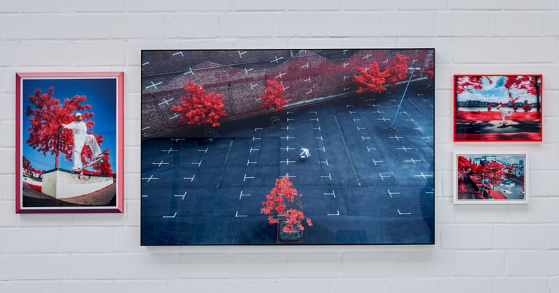 A white brick wall features four framed photographs of urban scenes with vivid red trees. The largest photo depicts an empty parking lot with red trees, and the smaller images showcase various street views with similar bold red foliage.