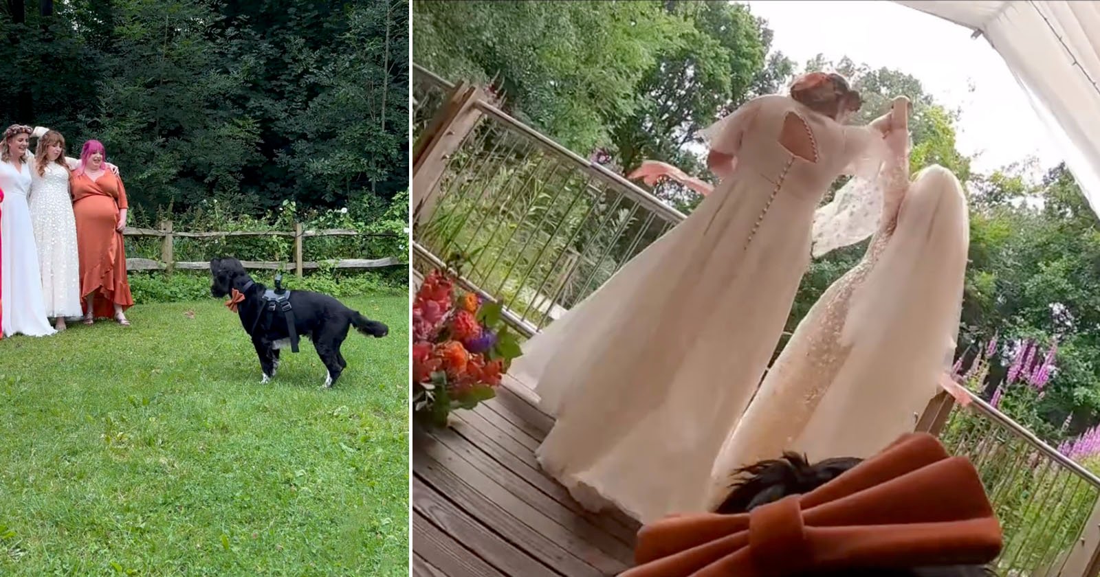 What a Dog Saw During His Day as an Adorable Wedding Videographer