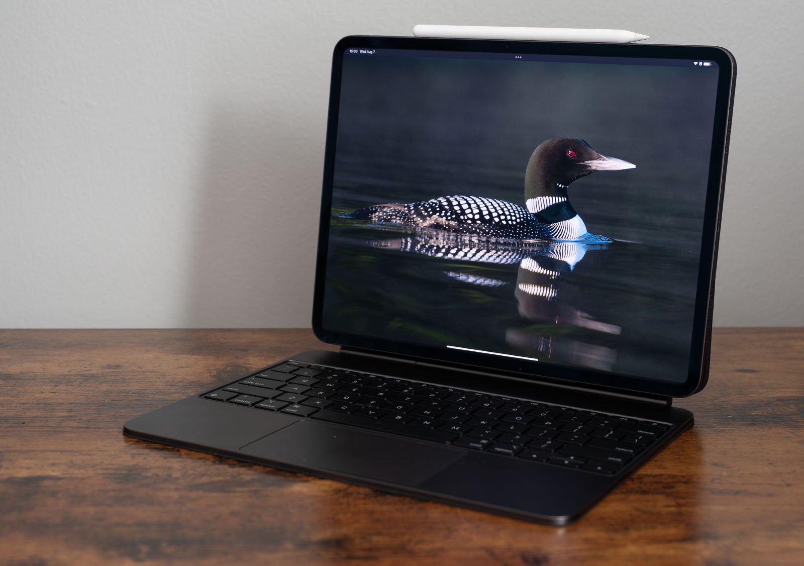 A tablet with a detachable keyboard and a digital pen on top displays an image of a loon swimming in water. The device is on a wooden surface, and the screen shows a high-resolution picture of the bird in a natural setting.