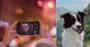 A close-up of hands holding a smartphone capturing a dimly-lit scene with bokeh lights in the background. On the right, a black and white dog is pictured outdoors, with green hills and a blue sky in the background.