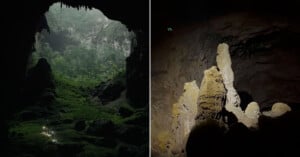 A split image showing two views of a cave. The left side shows a lush, green landscape visible through the cave's opening, with dim light inside. The right side depicts illuminated stalagmites and rock formations within the dark cave interior.