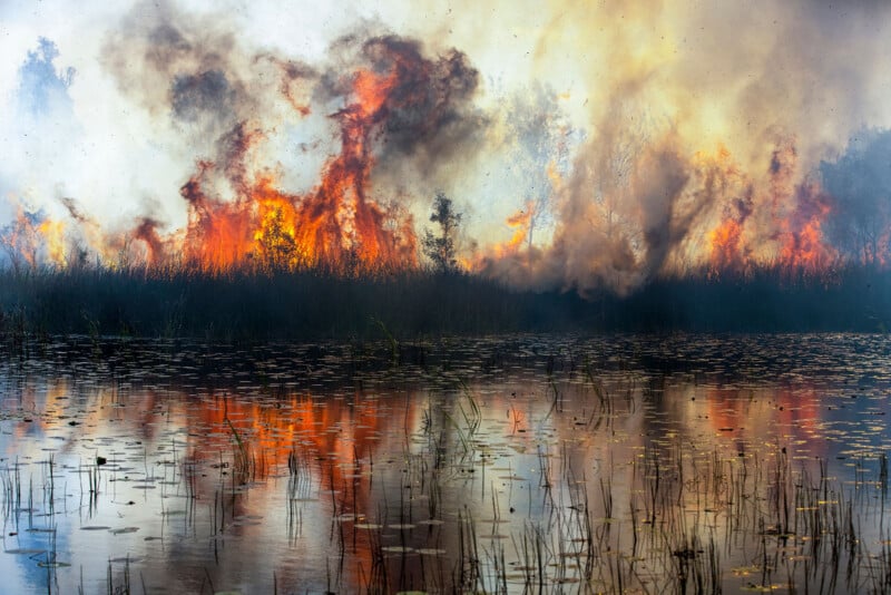 Massive wildfire rages in a forest, with towering flames and thick smoke. The intense fire is reflected in a water body in the foreground, where scattered reeds and plants are visible amidst the chaotic scene.