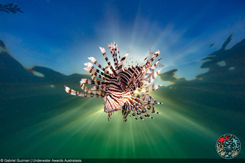 A lionfish with striking stripes and feathery fins swims underwater, illuminated by sunlight filtering through the water above. The background is a gradient of blue and green with rays of light radiating from behind the fish. There is a watermark in the bottom right corner.