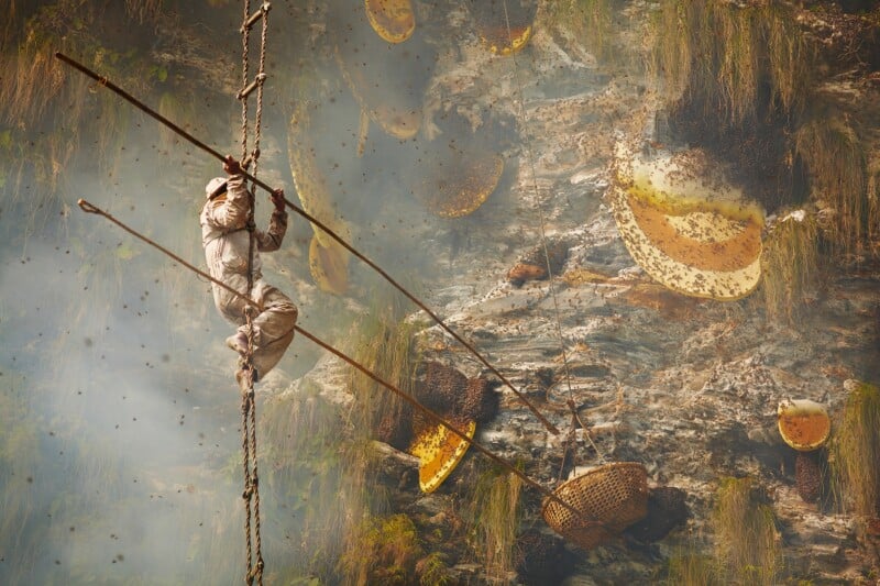 A person wearing protective clothing climbs a rope ladder against a steep, rocky cliff covered in beehives. They are carrying a long stick and large wicker basket, seemingly in the process of harvesting honey amidst swarming bees. The background is hazy with smoke.