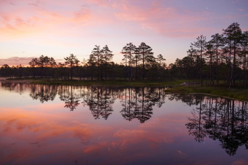 A serene lake mirrors a forest of tall trees at dusk. The sky is painted in pastel shades of pink, orange, and purple, creating a tranquil atmosphere. The calm water flawlessly reflects the sky and silhouetted trees, enhancing the peaceful scene.