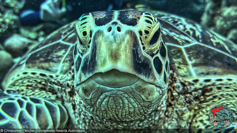 Close-up underwater shot of a sea turtle's face, displaying intricate patterns on its shell and skin. The background is a blurry underwater environment. The image includes a credit text: "© Christopher Fletcher | Underwater Awards Australasia.