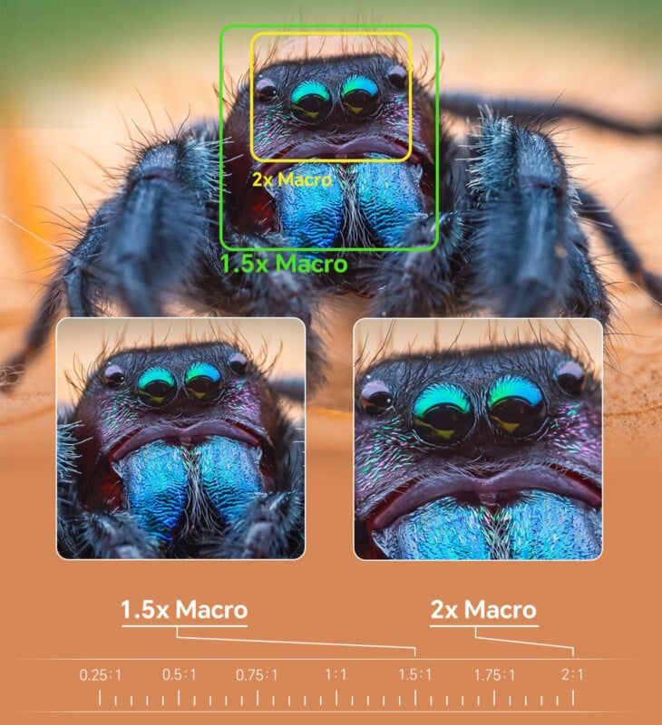 Close-up comparison image showing a spider's face under different magnification levels. The top section has a small square highlighting the spider's eyes with labels for 1.5x and 2x macro. The bottom section has two larger images side-by-side displaying the 1.5x and 2x macro details, revealing the spider's vibrant, iridescent eyes and mouthparts. A scale measure of 0.25:1, 0.5:1, 0.75:1, 1:1 is shown along the bottom.