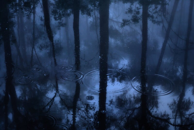 A serene, dark blue forest scene is reflected in a tranquil body of water. Trees reach high above, their silhouettes mirrored below in the water. Gentle raindrops create ripples on the water's surface, adding texture and movement to the peaceful atmosphere.