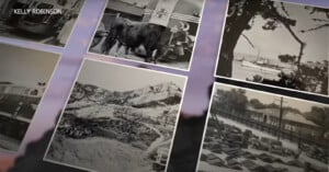 A collage of black and white photos, including a bull near a truck, a coastal scene with ships, a train moving along mountainous terrain, and a railway station with stacked cargo. The name "Kelly Robinson" is visible in the top left corner.