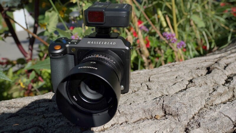 A Hasselblad camera with an attached lens and flash is placed on a tree trunk. Colorful flowers and green foliage in the background provide a vibrant contrast to the camera's sleek black design.