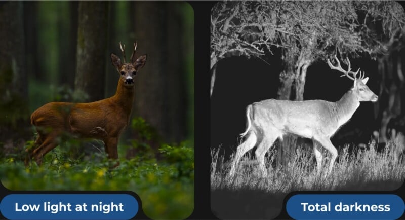 The image displays two deer, each in a different lighting condition. The left side shows a deer in low light at night, with natural colors visible. The right side shows a deer in total darkness, with a bright, high-contrast, black-and-white appearance.