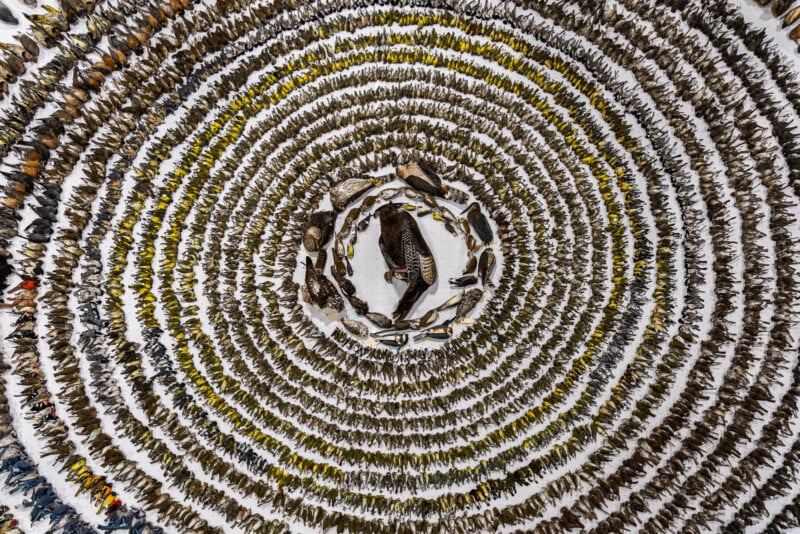 An intricate, circular pattern composed of various bird feathers arranged concentrically on a white background. The feathers form multiple rings, with larger mixed-colored feathers at the center, gradually transitioning to smaller, more uniformly colored feathers on the outside.