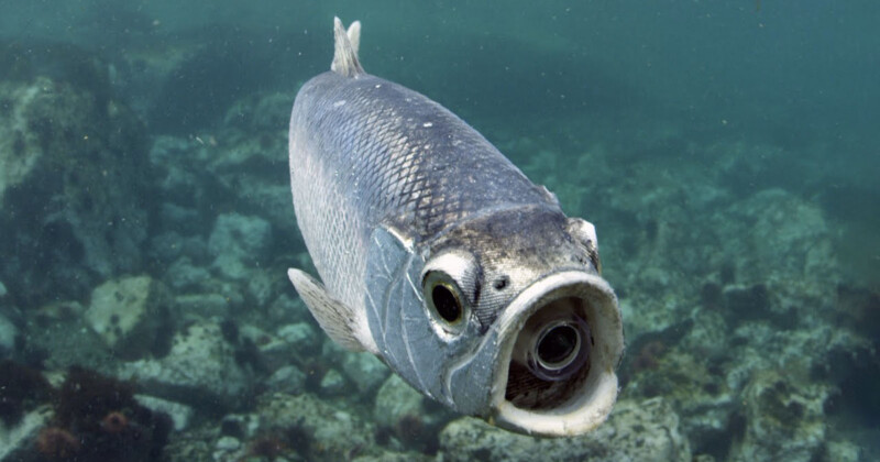 BBC Uses Creepy Animal Spy Cameras to Get Close-Up Shots of Wildlife ...