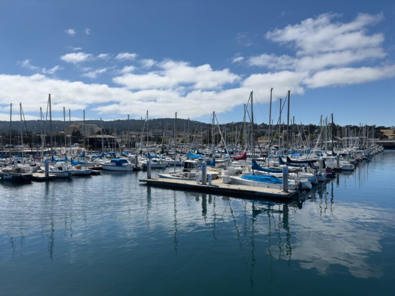 A serene marina with numerous sailboats and yachts docked neatly in rows. Calm water reflects the boats and a partly cloudy sky above. The background features a tree-lined shore and distant hills under a bright blue sky.