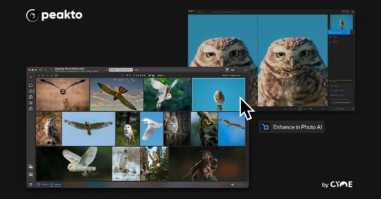 A screenshot showcasing the Peakto software interface, featuring multiple images of owls in a photo gallery. One image is being enhanced using Photo AI, with a side-by-side comparison of the original and the enhanced photo. Peakto and CYME logos are visible.