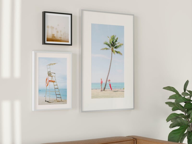  the top shows a distant view of palm trees in a foggy setting, the left middle shows a lifeguard tower on a beach, the right middle shows a tall palm tree by the sea. A green plant is partially visible at the bottom right.