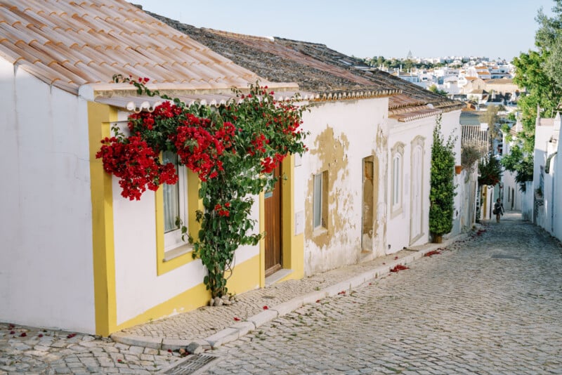 A charming narrow cobblestone street lined with whitewashed houses in a sunlit village. One house features vibrant red flowers cascading down the front. The buildings have distinctive yellow accents and the scene depicts a peaceful, quaint atmosphere.