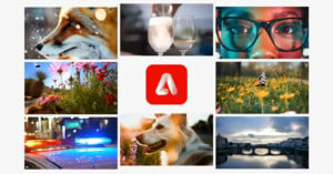 A collage of eight images surrounds a red square with a white "A" logo. The images include a fox, cocktails, a person's eyes behind glasses, flowers, a butterfly, police car lights, a dog, and a scenic river with a bridge.