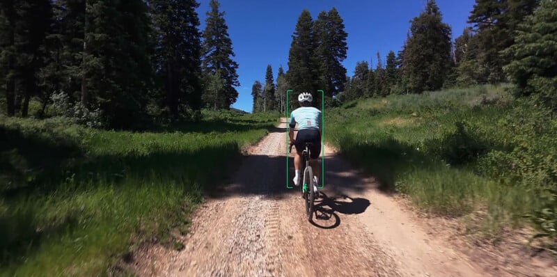 A cyclist rides along a gravel path surrounded by lush green grass and tall pine trees under a clear blue sky. The path winds gently through the forested area, suggesting a serene and scenic biking route. The cyclist is wearing a helmet, jersey, and shorts.