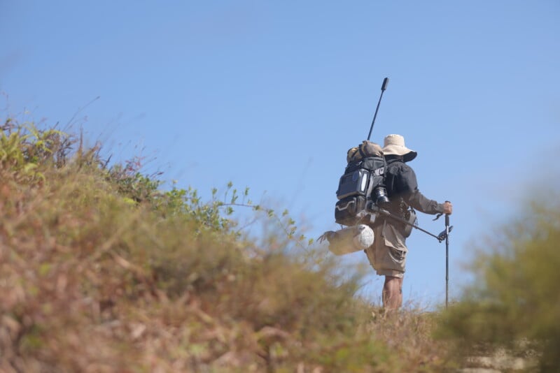 A hiker with a large backpack and hiking poles walks up a grassy hill under a clear blue sky. The hiker wears a wide-brimmed hat and shorts, with various gear attached to the backpack. The scene is bright and sunny.