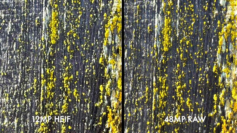 Comparison of two images of a wooden surface with yellow moss; the left side is labeled "12MP HEIF" and the right side is labeled "48MP RAW". The right image shows clearer details and sharper textures compared to the left image.