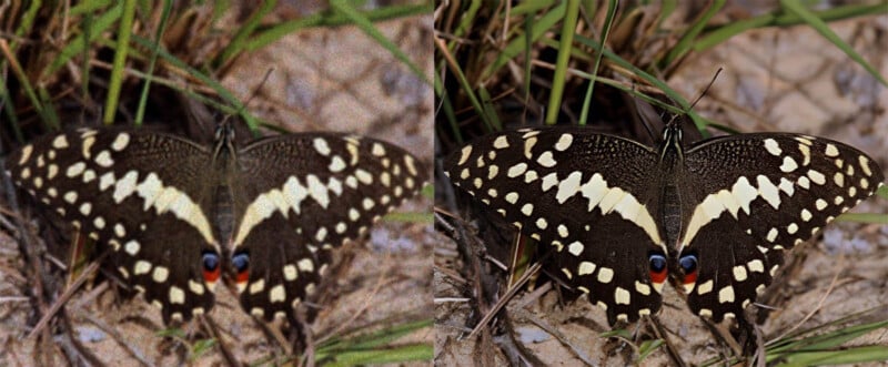 Side-by-side comparison of a low resolution (left) and high resolution (right) image of a butterfly with black wings, white spots, and red and blue eye spots near the bottom. The butterfly is resting among grass and dirt.