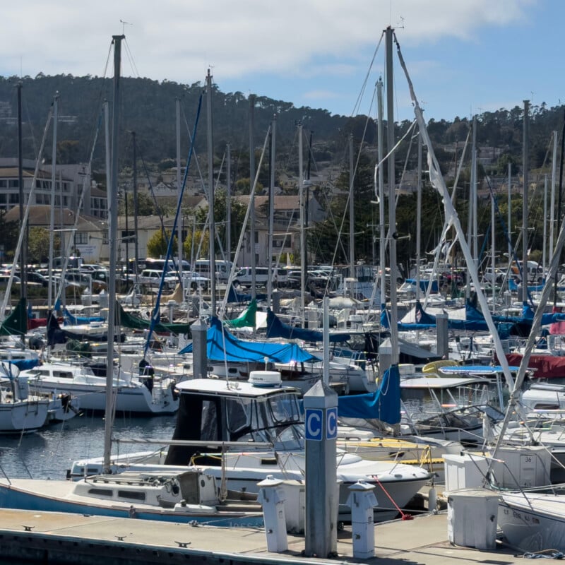 A busy marina filled with various sailboats and yachts docked closely together. The masts and rigging of the boats create a web of lines against a backdrop of green hills and a cloudy sky. A "C" dock marker is visible in the foreground.