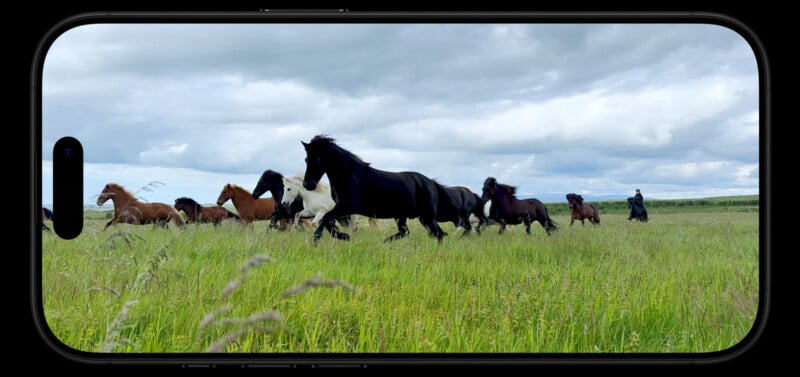 A group of horses, including a prominent black horse, gallops through a vibrant green field under a cloudy sky. The scene is framed by the outline of a smartphone, emphasizing the phone's wide display and high-resolution capability.