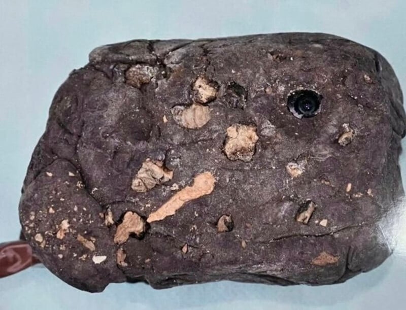 A close-up photo of a dark gray rock with various small light-colored inclusions and a shiny dark spot in the upper right area of the rock. The rock has an irregular shape and rough surface texture, with a pale blue background.