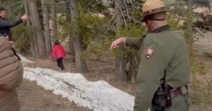 Tourists Ignore Yellowstone Park Ranger’s Warnings to Take Photos of Grizzly Bear