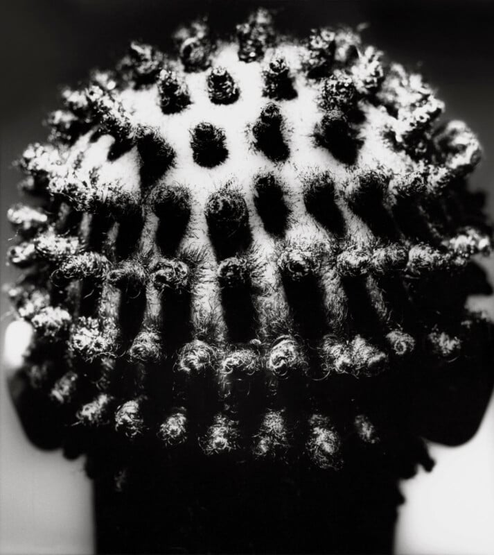 Black and white close-up of a person’s head from the back, featuring short, textured hair styled in tight curls. The curls form a grid-like pattern. The image has a dramatic contrast, emphasizing the hair's texture.