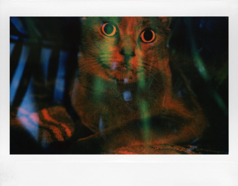 A cat with wide eyes sits in a dimly lit area, surrounded by blurred green and red lights, creating a mysterious and surreal atmosphere.