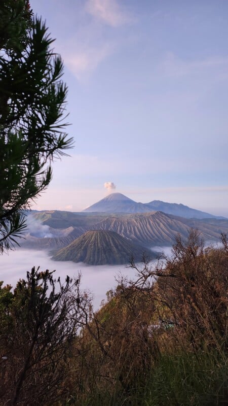 A scenic view of Mount Bromo in Indonesia with a smoking crater surrounded by lush greenery and mist. Foreground features trees and shrubs, while the mountains in the background are bathed in soft morning light under a clear sky.