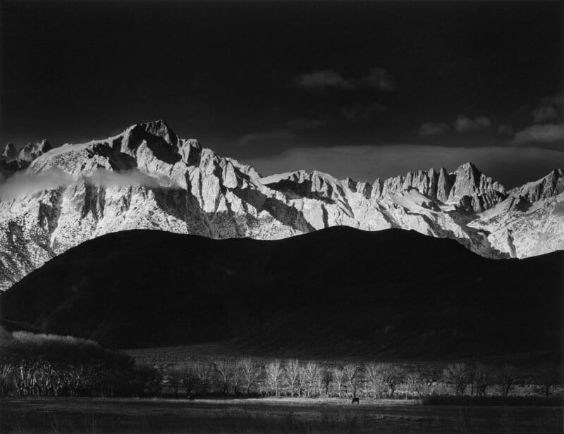 Black and white image of a dramatic mountain range with snow-capped peaks. The foreground features a dark hill and a grove of bare trees, creating a striking contrast between the illuminated mountains and the shadowed landscape.