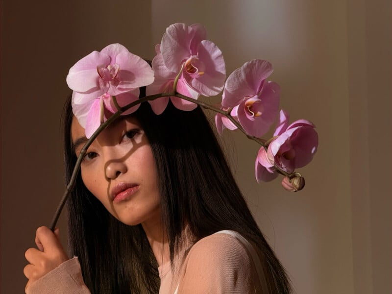 A person with long dark hair is holding a stem of pink orchids, which casts a shadow on their face. The background is softly lit, creating a warm ambiance.