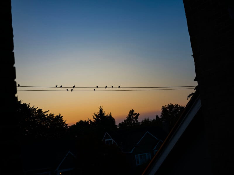 Silhouetted birds perched on a power line against a colorful sunset sky between two darkened buildings. Trees and rooftops sit in the distance.