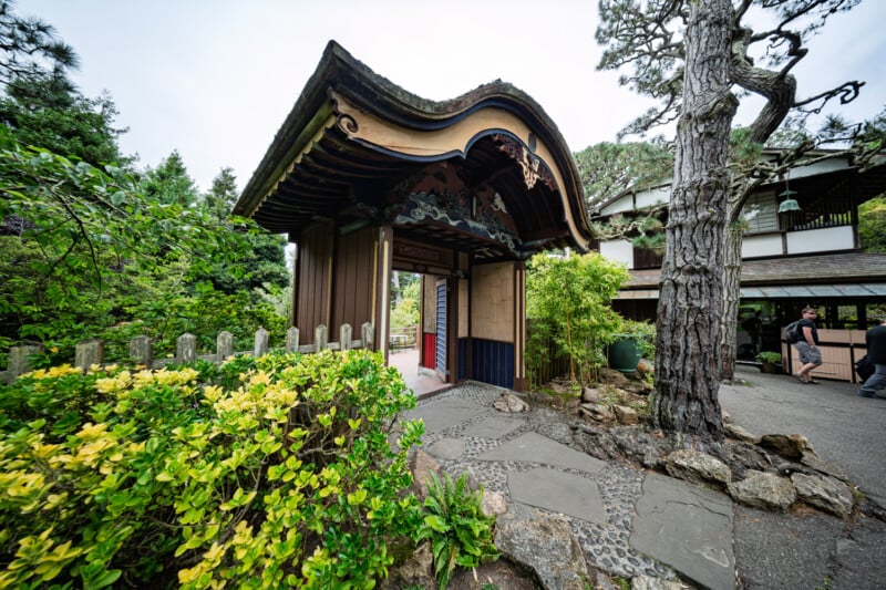 A traditional Japanese garden entrance with a curved wooden roof, surrounded by lush greenery and stone pathways. A tall pine tree stands beside the entrance, with a glimpse of a building and people in the background.