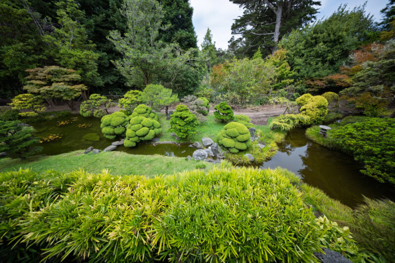 A serene Japanese garden with lush greenery, including various shaped bushes and trees. A small tranquil pond adds to the peaceful ambiance, surrounded by rocks and vibrant foliage, under a cloudy sky.