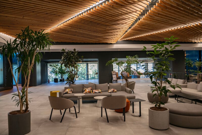 A modern lounge area with gray sofas and chairs, wooden ceiling panels, and potted plants. Large windows allow natural light to fill the space, creating a relaxed and inviting atmosphere.