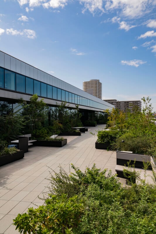 A rooftop garden with lush greenery and potted plants lines a modern building with reflective glass windows. The sky is blue with scattered clouds, and tall buildings are visible in the background.