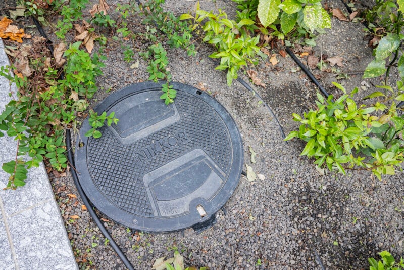 A round black manhole cover labeled "MIKROR" is situated on gravelly ground, surrounded by small green plants and foliage. A stone border is visible on the left side of the image.