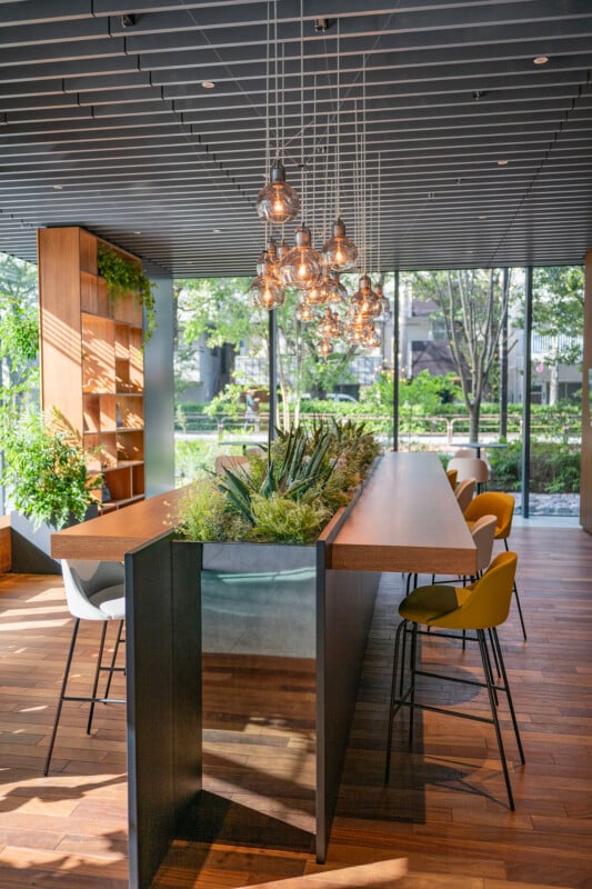 A modern cafe with wooden floors, green plants, and large windows. Hanging lights illuminate a central bar table surrounded by yellow chairs. Shelves with books and plants add to the decor. Sunlight streams in, highlighting the greenery outside.