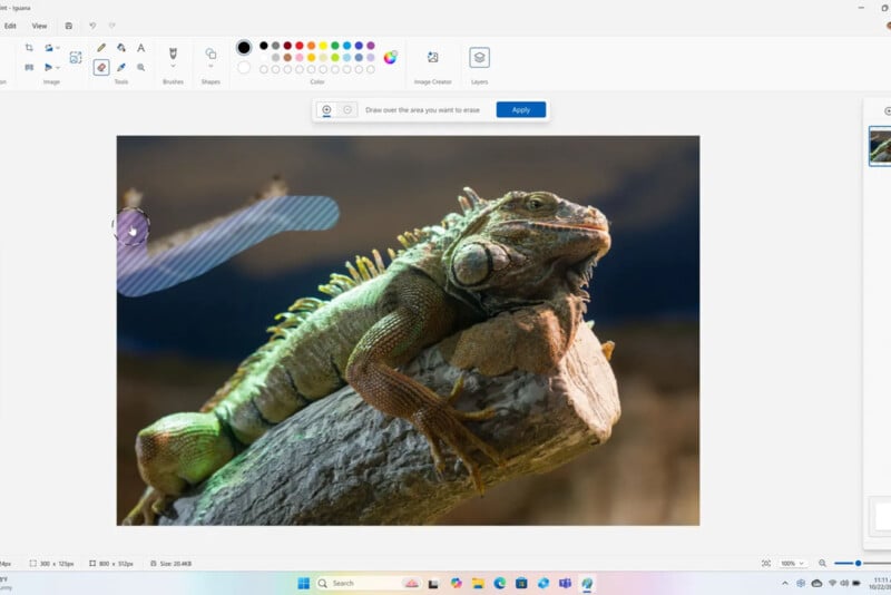 Image of a screenshot showing Microsoft Paint open on a Windows 11 desktop. The Paint window displays a detailed image of a green iguana resting on a tree branch. A user is currently using the 'Oil Brush' tool on the image in Paint.