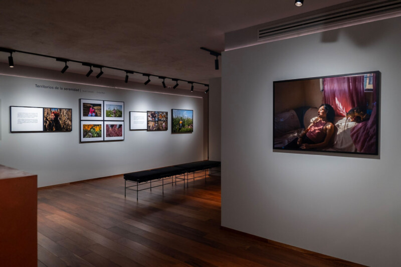 A dimly lit art gallery with photographs on the walls. One side features a series of framed images with descriptions. On the opposite wall, a large image depicts a person resting in a bed, illuminated by soft light. A bench sits in the center.