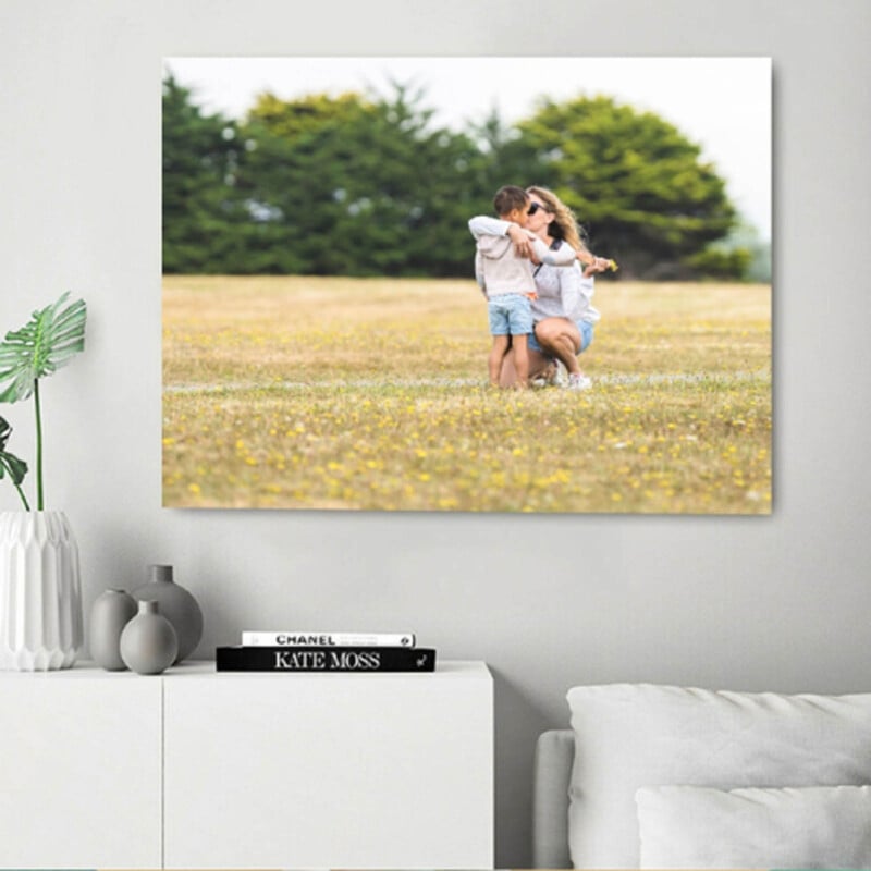 A living room with a large framed photo of a mother and child hugging in a grassy field. The shelf below holds decorative vases, books, and a white cushion sits on the couch.