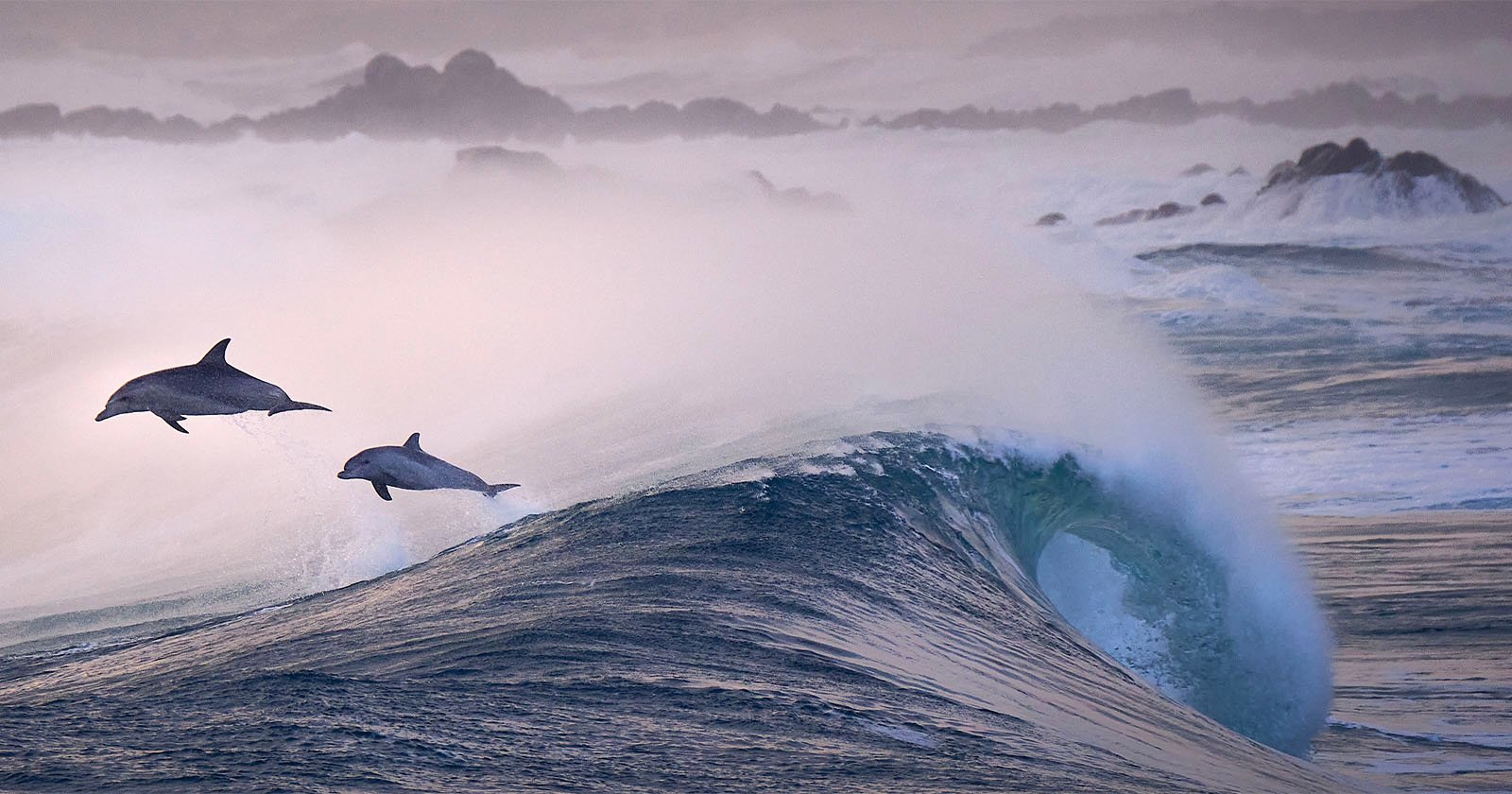 Two dolphins are seen leaping out of the ocean waves in a misty seascape. The water is choppy, with large waves forming, and the sky is overcast with a hazy atmosphere. Rocky outcrops are visible in the background, adding to the serene, natural setting.