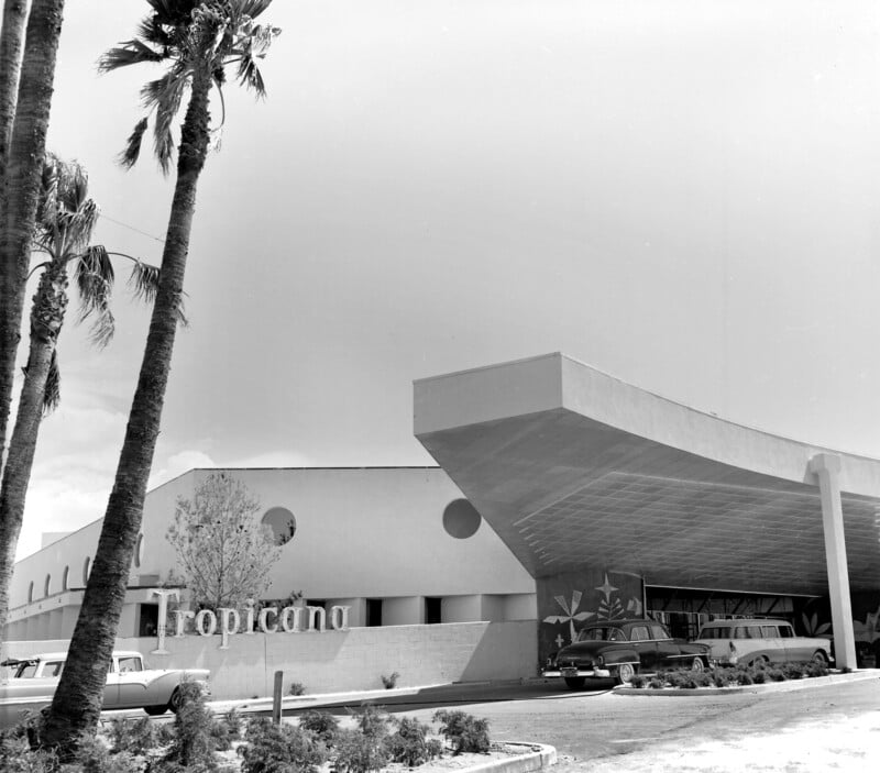 A black and white photo of a mid-century modern building with a large overhanging roof, labeled "Tropicana." Several vintage cars are parked in front, and tall palm trees stand nearby. The sky appears clear above the structure.